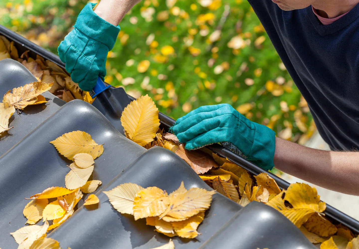 Gloved hands clearing leaves from a roof gutter