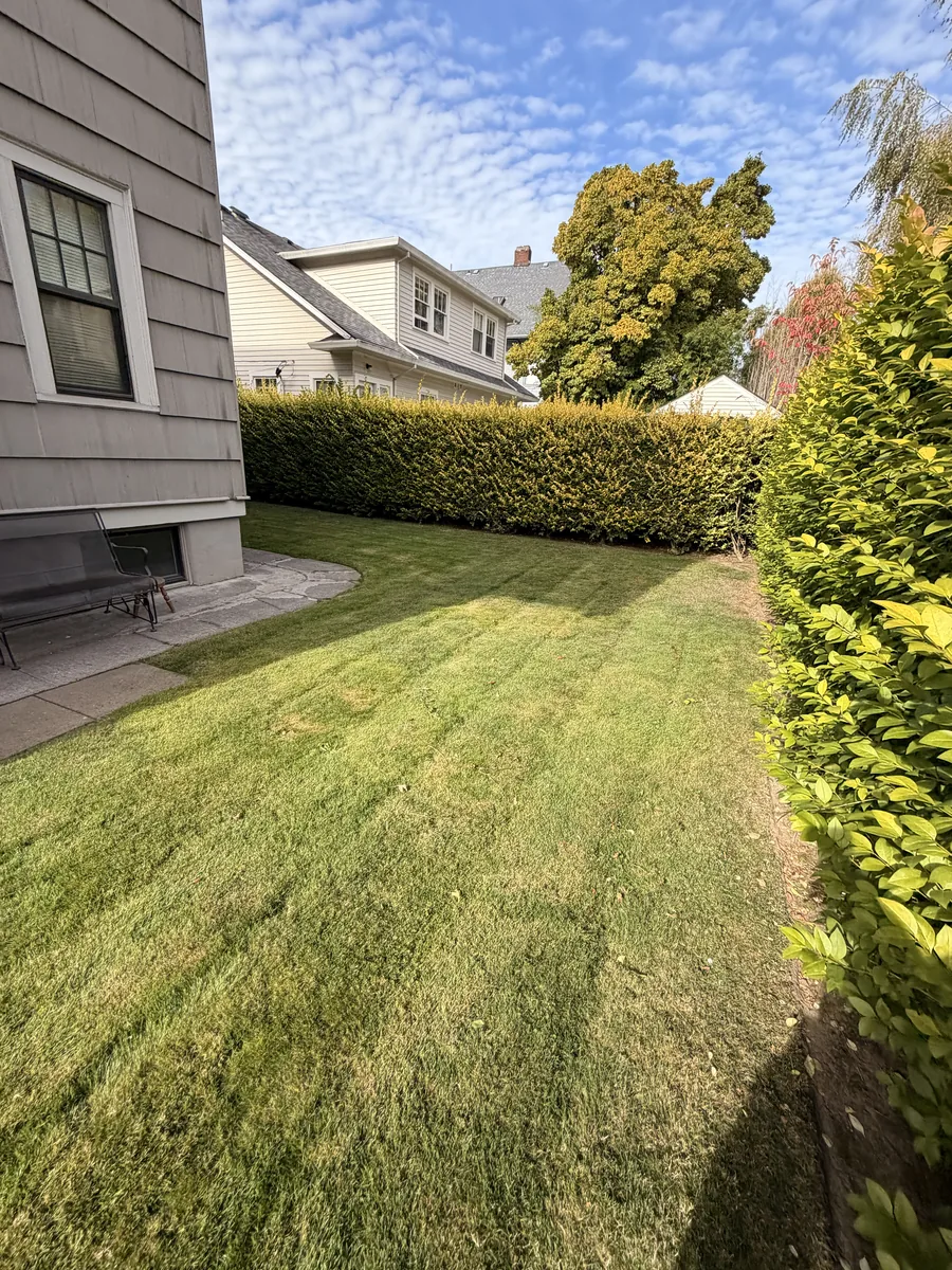 Freshly mowed lawn beside a home